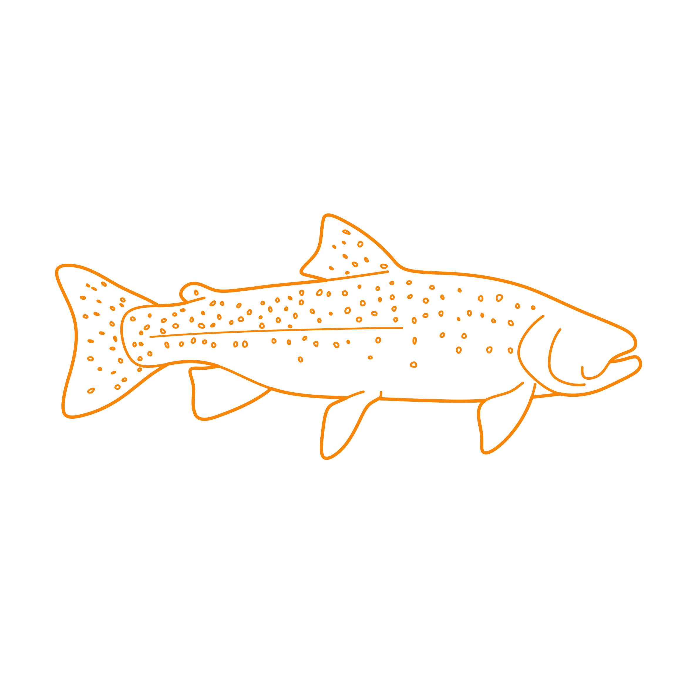Animals Freshwater Fish Westslope Cutthroat Trout Line Tracing Svg Vector Free Vectors
